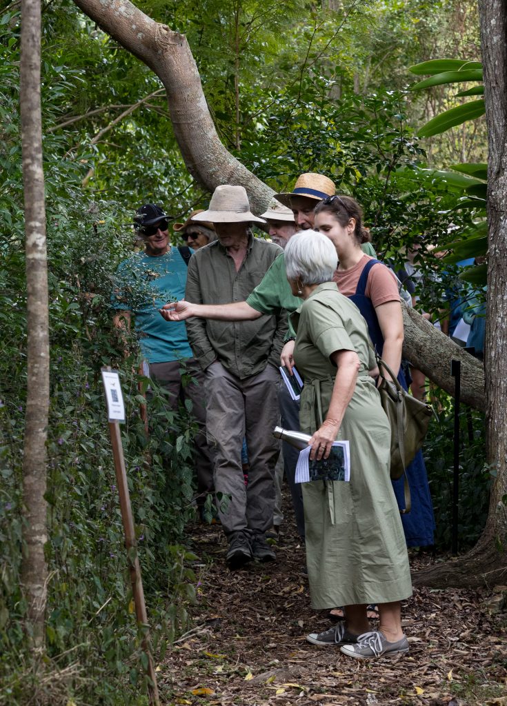 Labelled flora on the walk