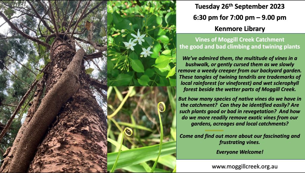 Evening Talk Sept 26th Vines of Moggill Creek