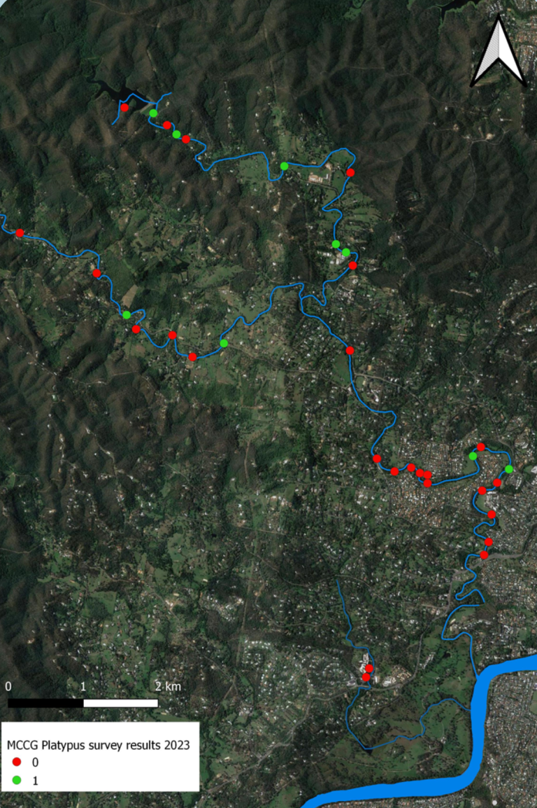Moggill Creek Catchment Group Annual Platypus Survey Results 2023