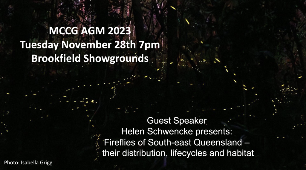 AGM 2023 Helen Schwencke