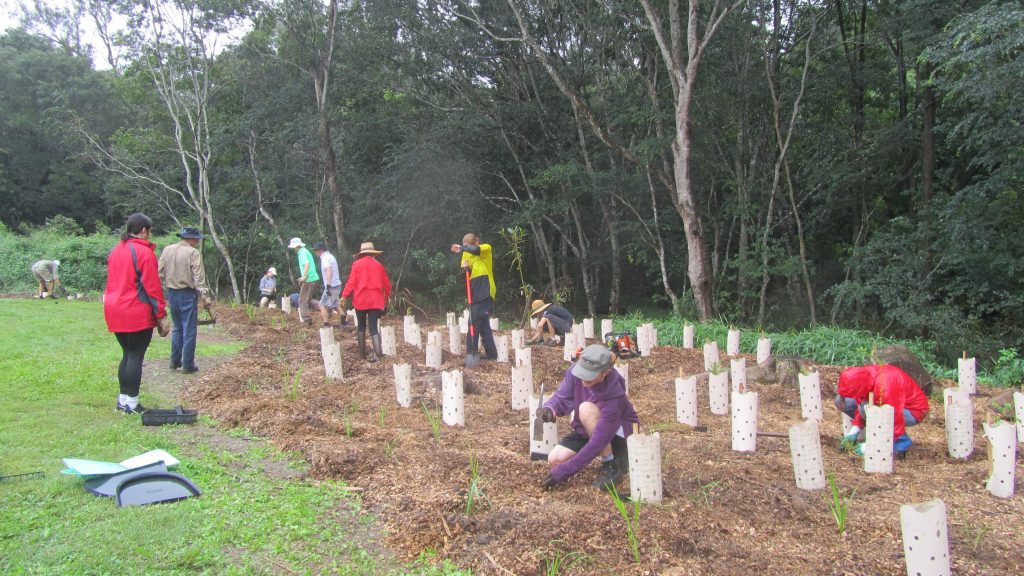 May 24 The Group Hard at Work - photo Jim Pope