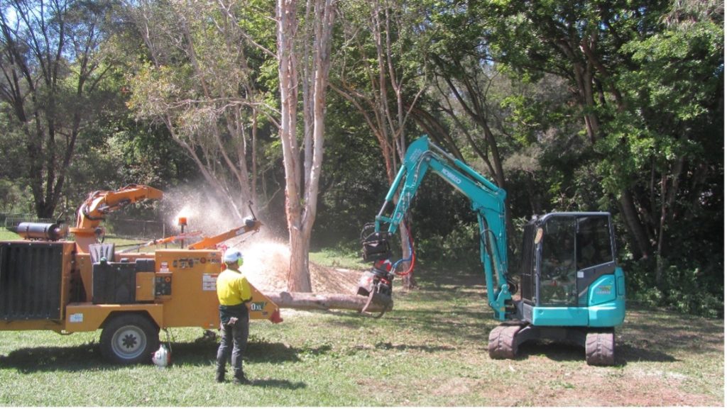 
Industrial-strength-weed-clearing-and-mulching-–-photo-Jim-Pope.jpg