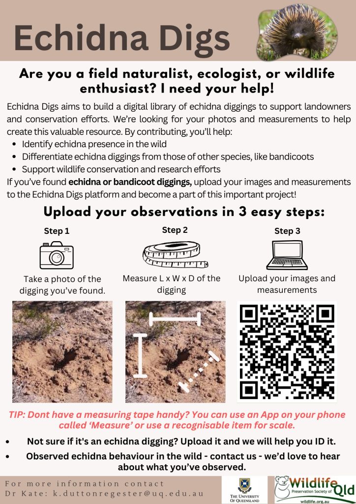 Echidna-digs-flyer