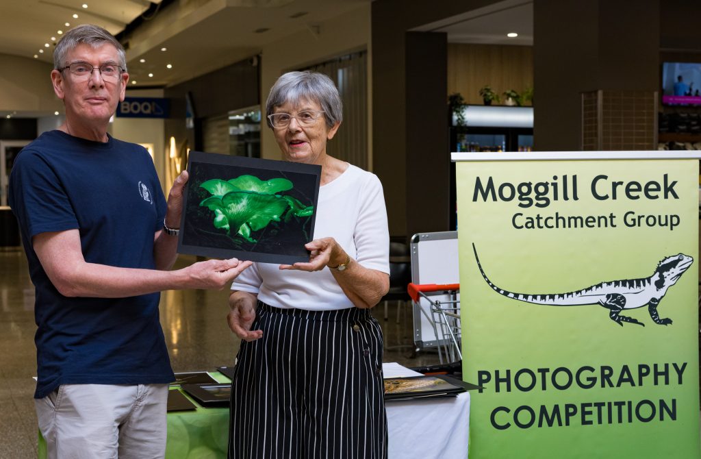 Stephen Mudge Bioluminescent Ghost Fungi