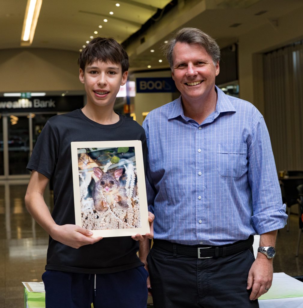 Joseph Pappas Brush Tailed Possum