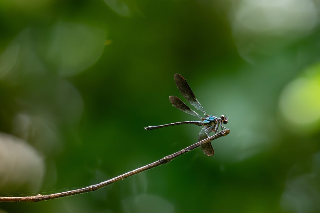 John-Stephens-Rockmaster-in-the-spotlight