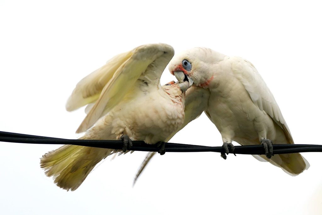 Sue-Wilson-Thanks-Mum