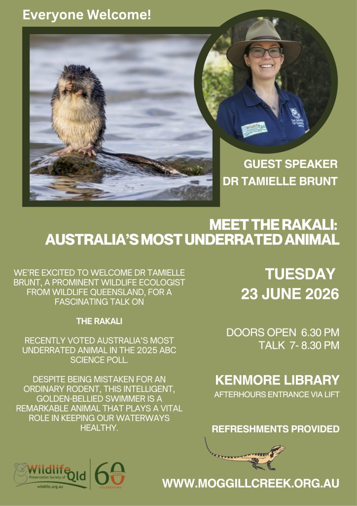 June 23 2026 Quarterly Talk Tamielle Brunt Rakali