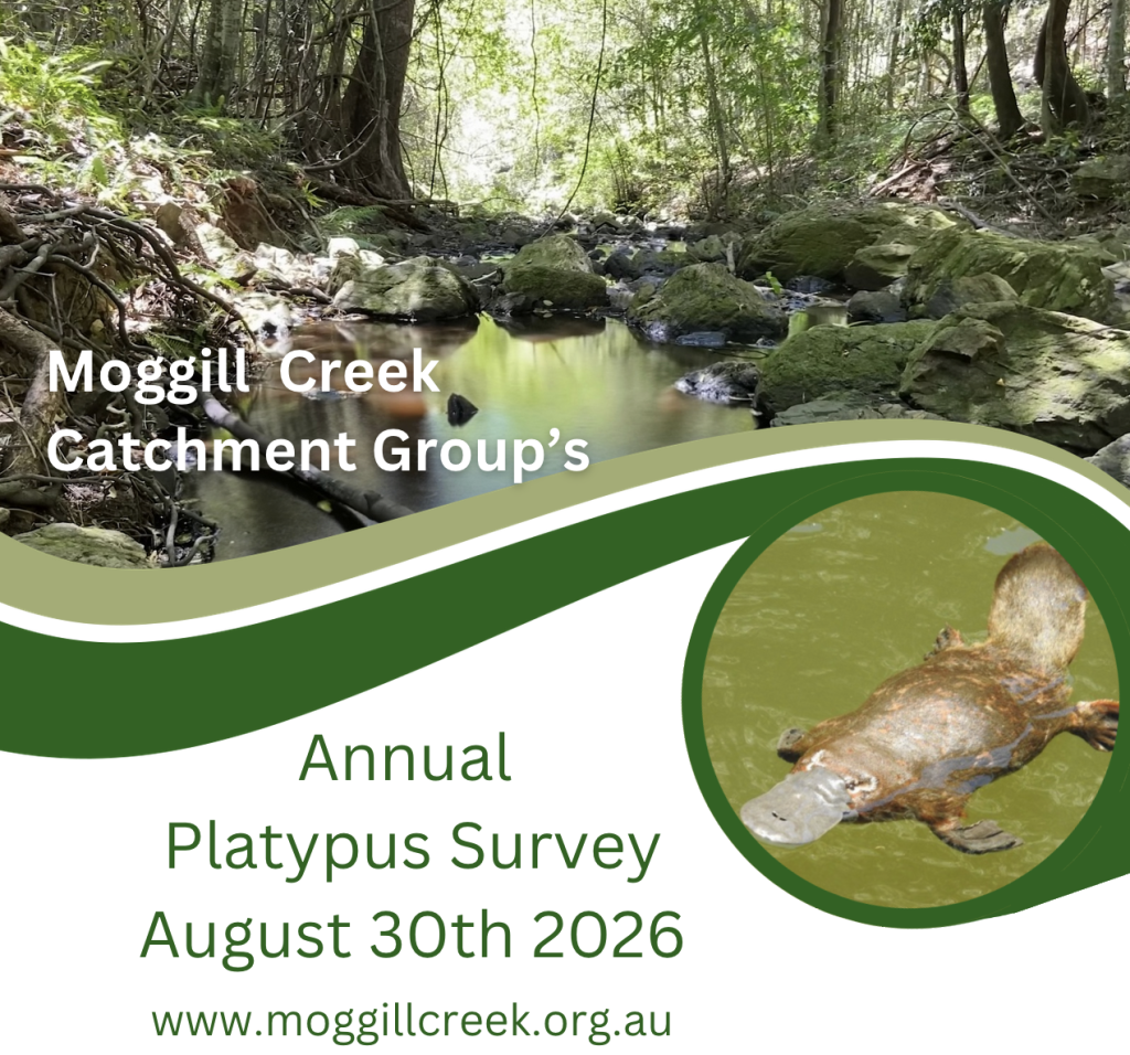Platypus Survey 2026