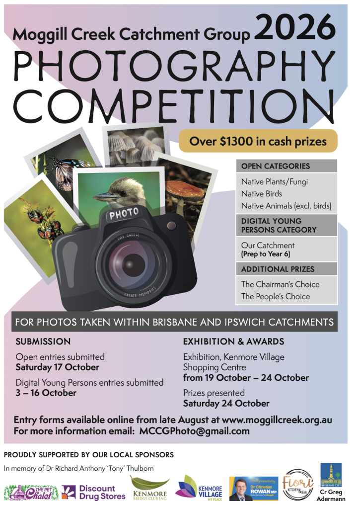 Photo Comp Flyer 2026