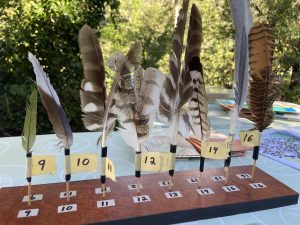BCC feathers