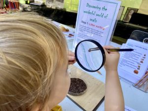 snail sorter