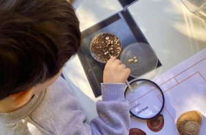 snail sorting